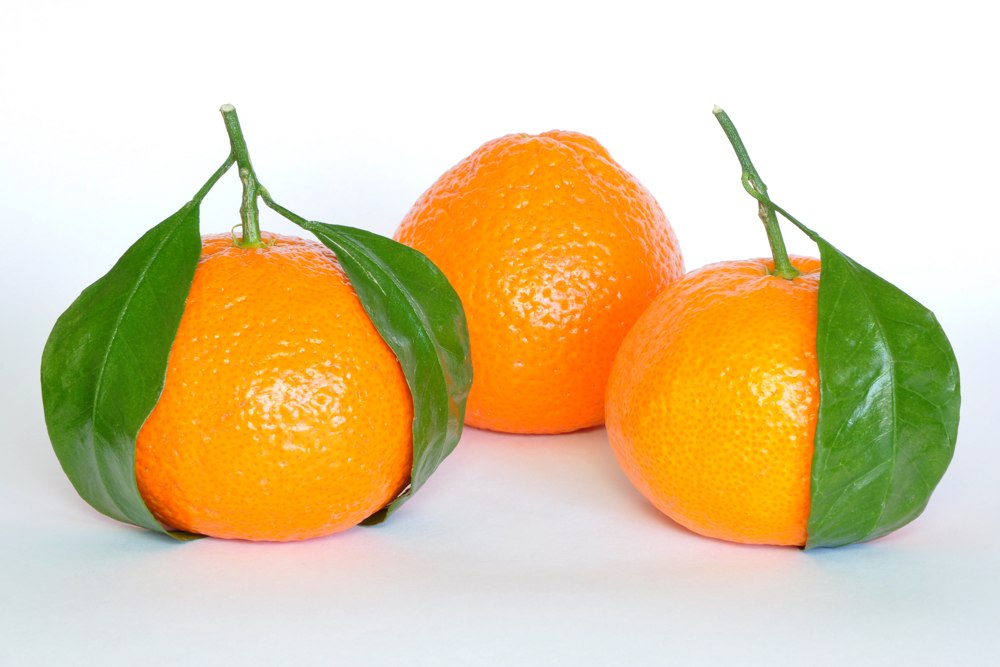 Frische Mandarinen mit grünen Blättern